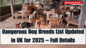 Dangerous Dog Breeds List Updated in UK for 2025 – Full Details