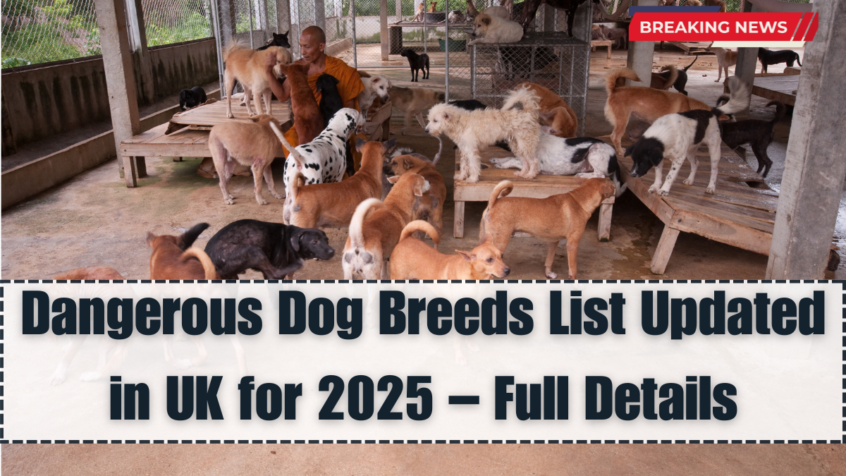 Dangerous Dog Breeds List Updated in UK for 2025 – Full Details