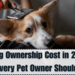 UK Dog Ownership Cost in 2025 – What Every Pet Owner Should Know