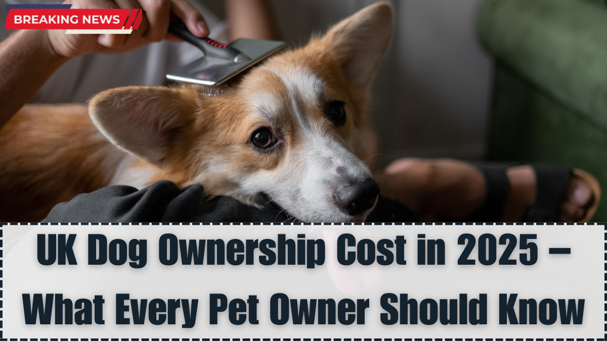 UK Dog Ownership Cost in 2025 – What Every Pet Owner Should Know