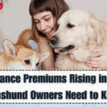 Pet Insurance Premiums Rising in the UK – What Dachshund Owners Need to Know in 2025