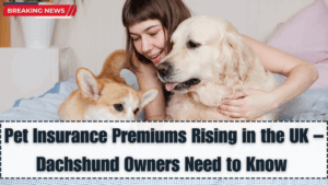 Pet Insurance Premiums Rising in the UK – What Dachshund Owners Need to Know in 2025