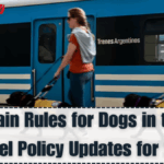 New Train Rules for Dogs in the UK – Travel Policy Updates for 2025
