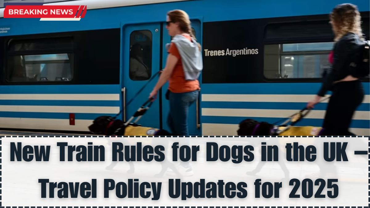 New Train Rules for Dogs in the UK – Travel Policy Updates for 2025