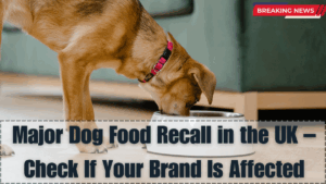 Major Dog Food Recall in the UK 2025 – Check If Your Brand Is Affected